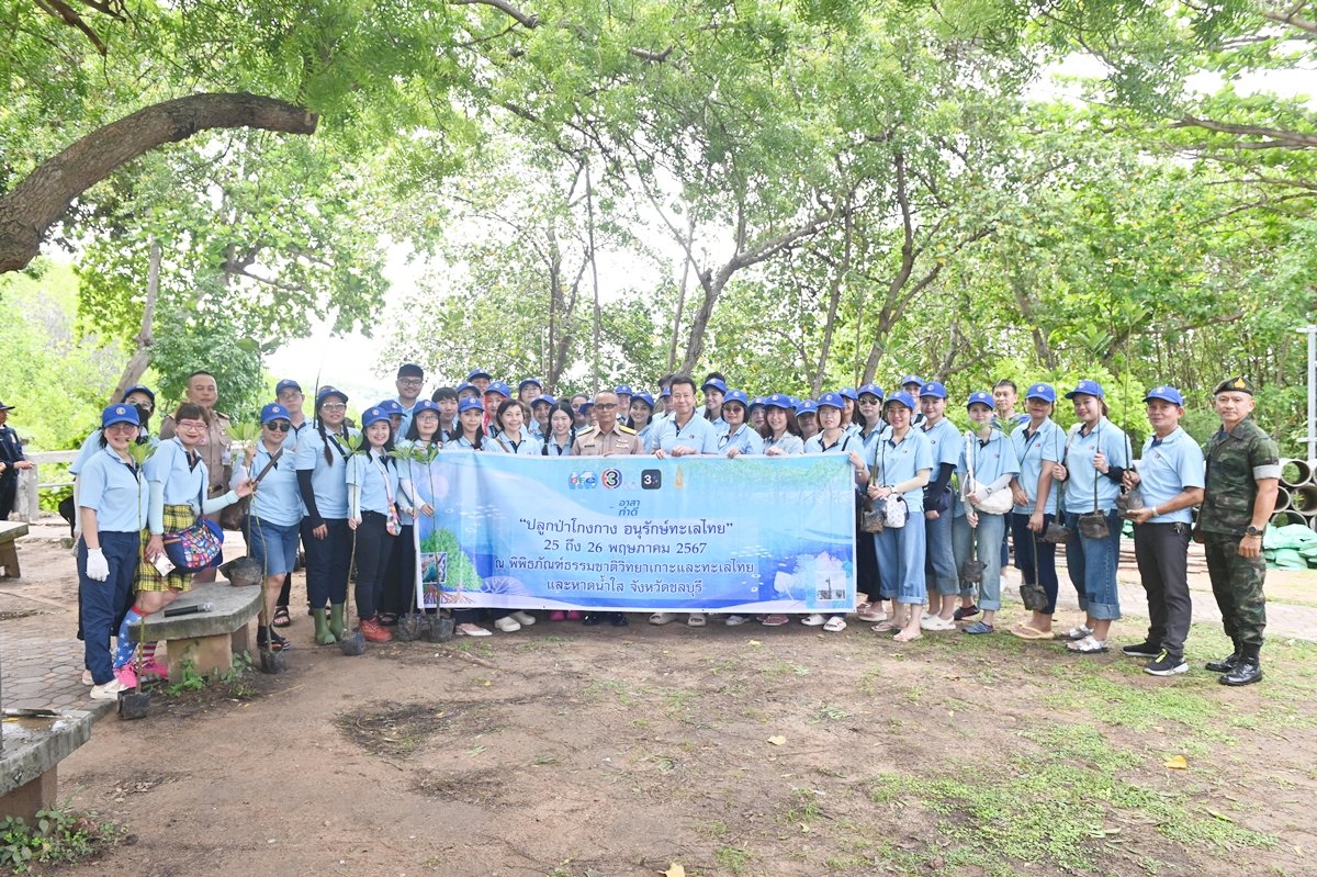 BEC Volunteer Staff Planted Mangrove Trees to Boost Ecosystem